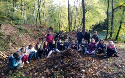 Mesure de longueur dans les bois
