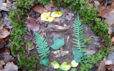 Land Art en forêt
