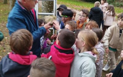 Intervention oiseaux