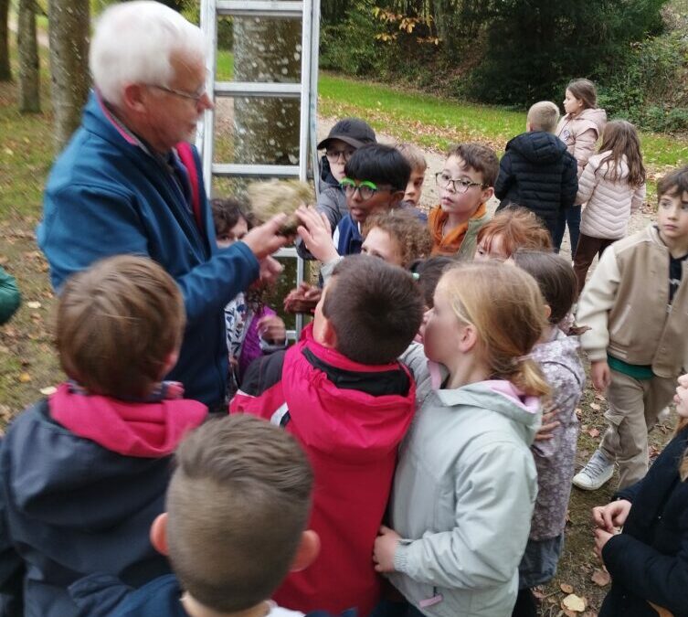 Intervention oiseaux